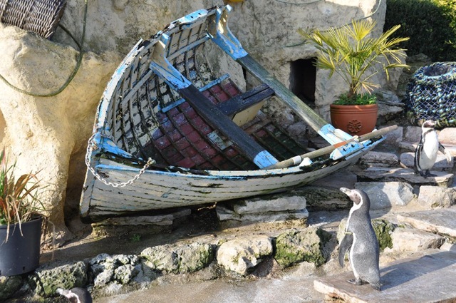 [Clinker boat Penguin Pool[10].jpg]