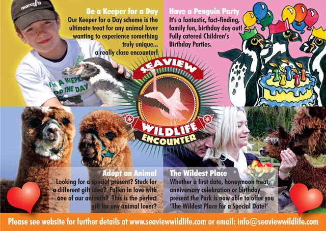 [Seaview WL Promotions ad[4].jpg]