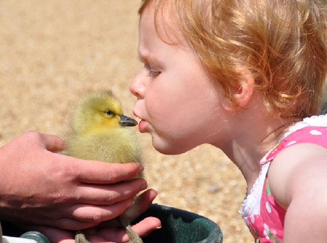 [Ella kissing Gosling cropped[8].jpg]