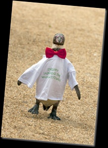 IWWF2011-008