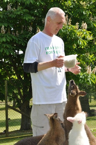 [Jon Williams with Wallabies (resized) DSC_0381[8].jpg]