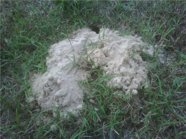 [The hole[3].jpg]