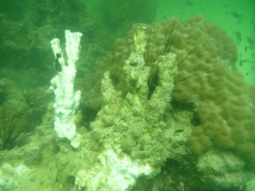 Паттайя. Пакет. 22.08-05.09