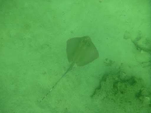 Паттайя. Пакет. 22.08-05.09