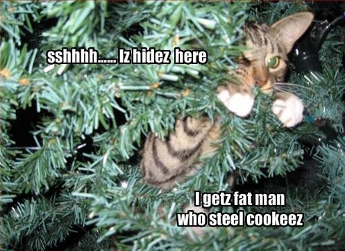 [funny-pictures-cat-hides-in-christmas-tree-and-waits[4].jpg]