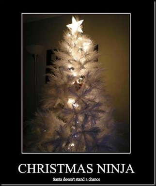 funny-pictures-cat-is-a-christmas-ninja