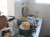 P1040018 (Large).JPG