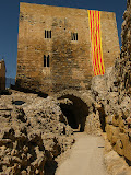 DSCF6037.jpg