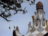 DSCF6220.jpg