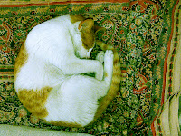 firefox.jpg