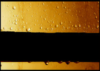 DSCF7640.jpg