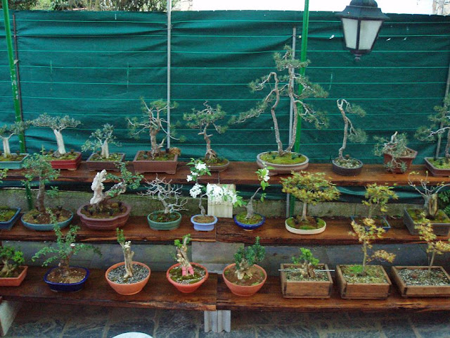El rincón de mis niños 10-4-10%20013