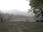 IMG_9270.jpg