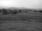 IMG_9213.jpg