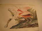 IMG_4949.JPG