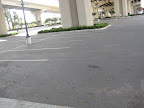 IMG_6984.JPG