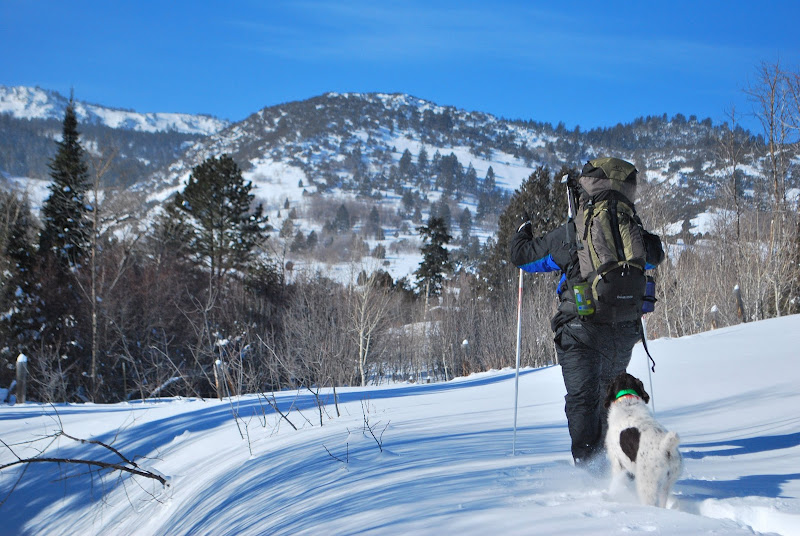 snowshoeing%202.jpg