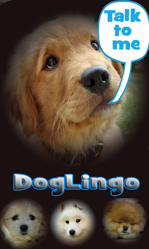 Dog Lingo - talk to your dog