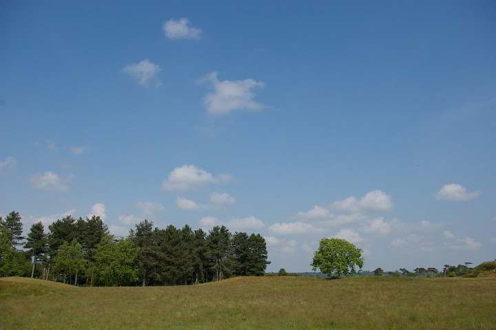 Sutton Hoo (Suffolk)