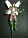 aranha_ic_06.jpg