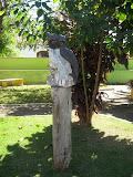 IMG_7556.JPG