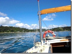Bay of Islands sailing - Freewind