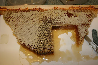 Cutting Comb Honey