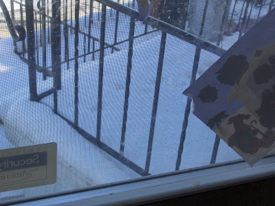 view of the front porch