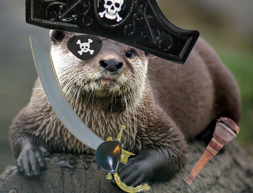 IPD-otter.png