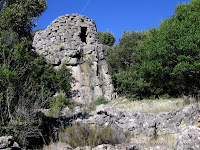IMG_7356.jpg
