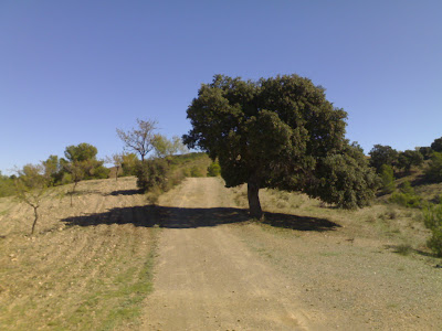 2009-10-12-12h27m00-Encina