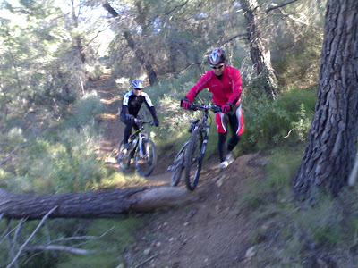 2010-02-06-13h33m25-Arbol