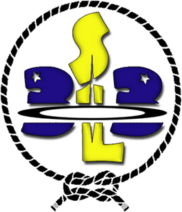 Logo San Luis 313