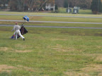  skydiving