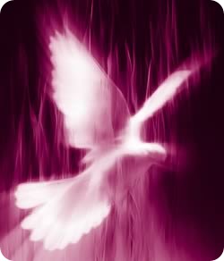espiritu_santo