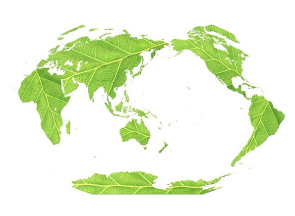 negocios medio ambiente