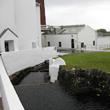 IMG_2451.JPG