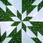 Hunter's Star