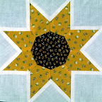 Missouri Daisy