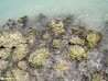 Isla Mujeres photo 14