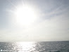 Isla Mujeres photo 29
