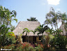 Mayan Ruins photo 15
