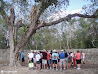 Mayan Ruins photo 18