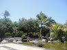 Cancun photo 12