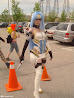 Anime North 2009 photo 25