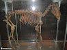 Stockholm Museet photo 61