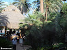 Las Vegas photo 120