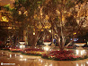 Las Vegas Nights photo 30