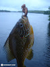 Houseboat Adventure photo 128