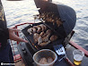 Houseboat Adventure photo 162
